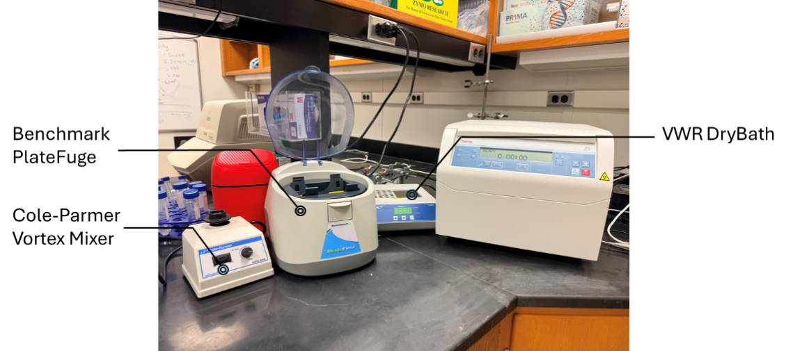BSL2 lab-2